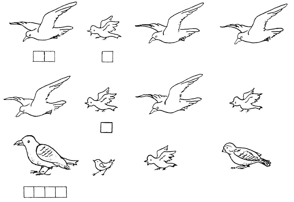 Птицы зимующие и перелетные: две большие летающие птицы, одна маленькая летающая птица, три большие летающие птицы с крыльями вверх, три маленькие летающие птицы, большая стоящая птица с леей, маленькая стоящая птица, большая летающая птица с одним сложен