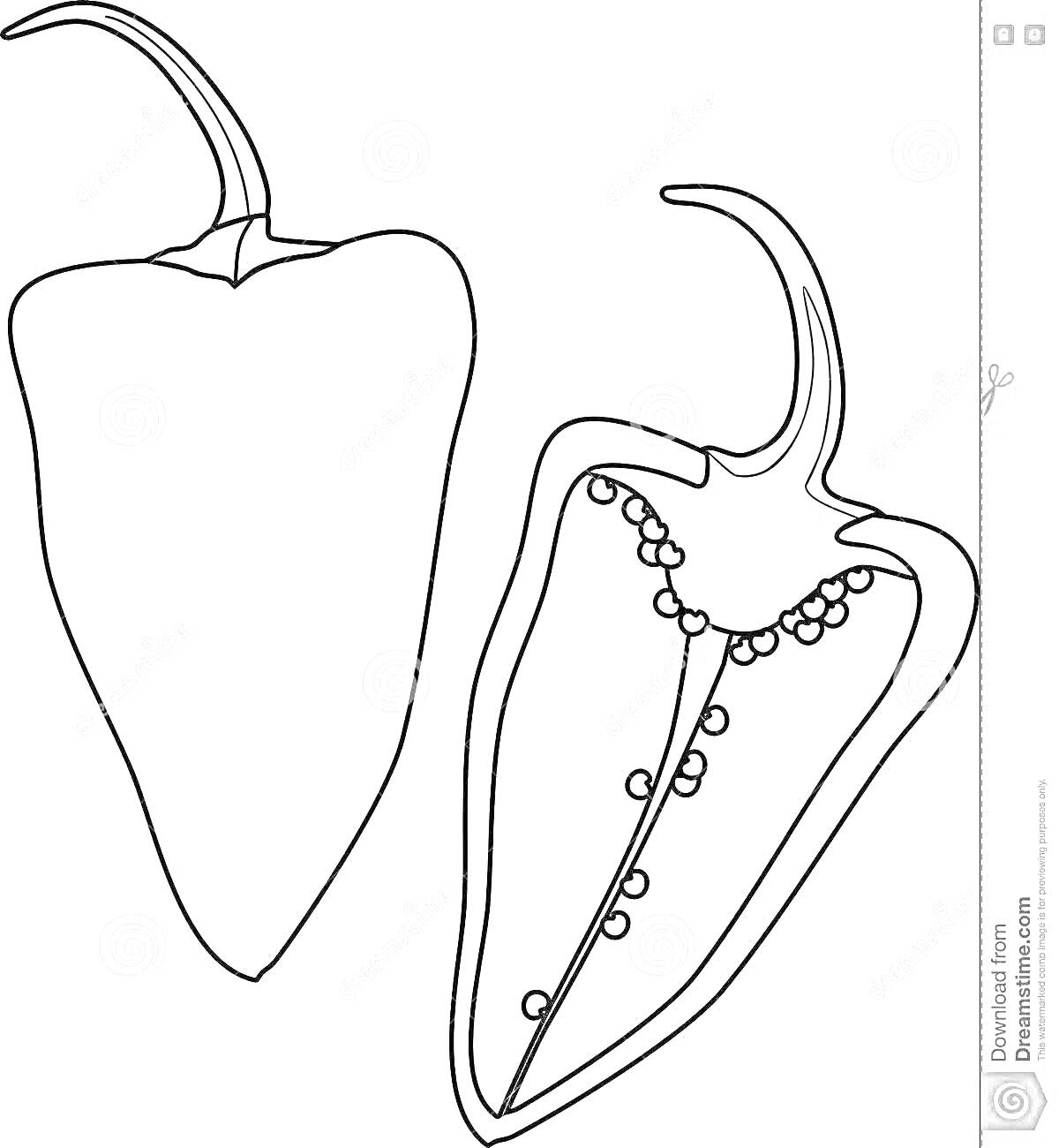 Раскраска Целый перец чили и половинка перца чили с семенами