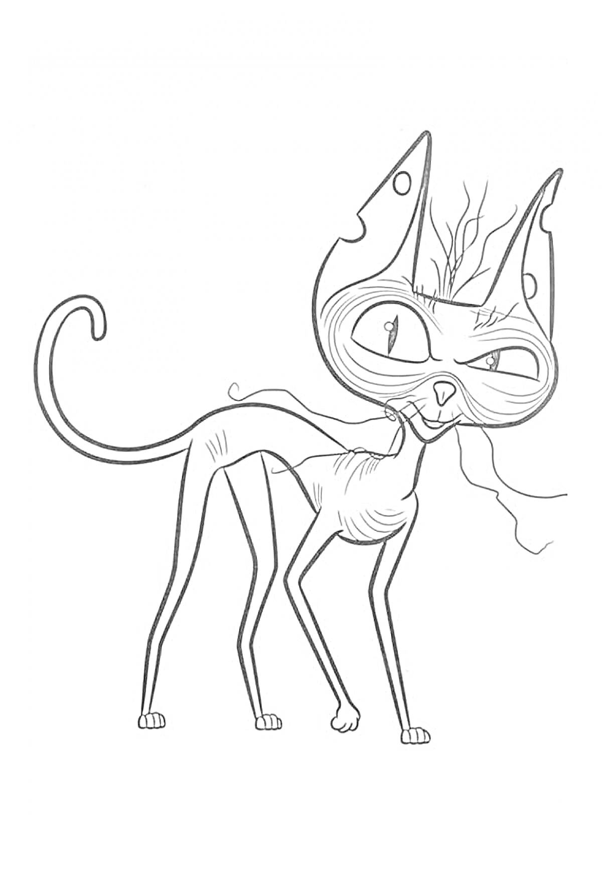 Раскраска Лысый кот с длинным хвостом и большими ушами, прищуривает один глаз, держа в зубах паутину.