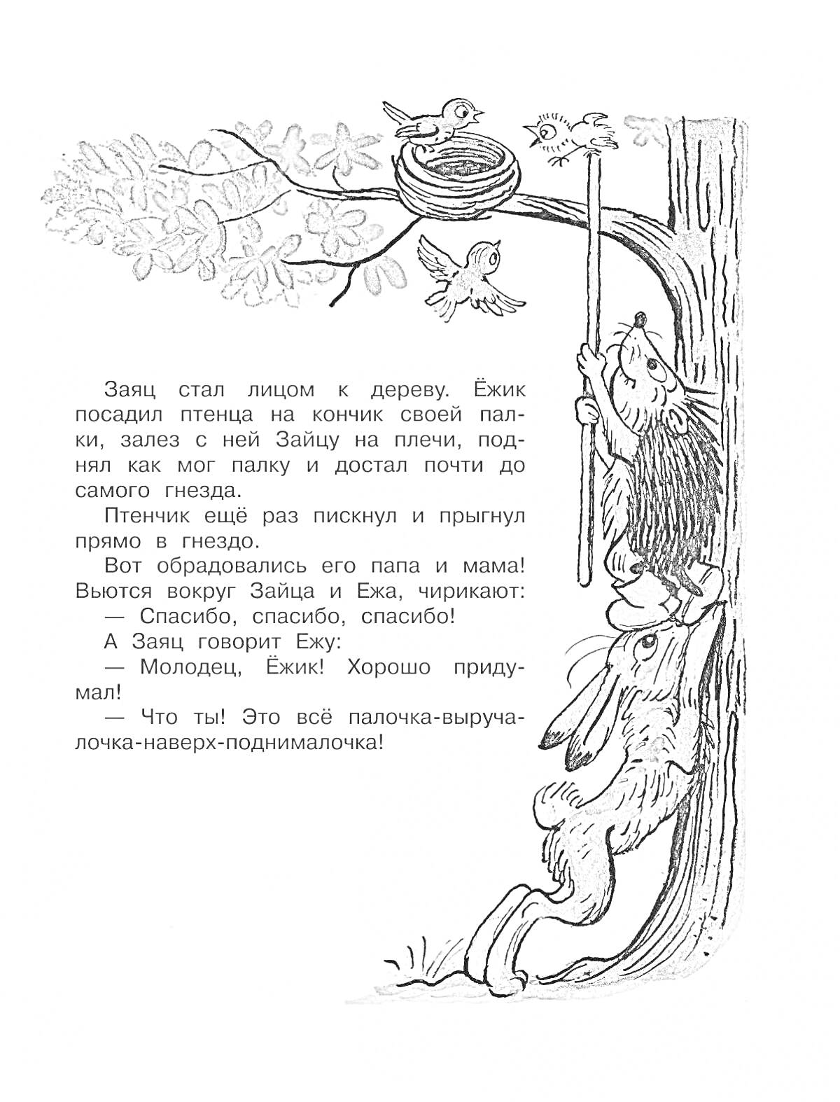 Раскраска Заяц и ёж достают птенца с дерева, гнездо, трое птиц, текст