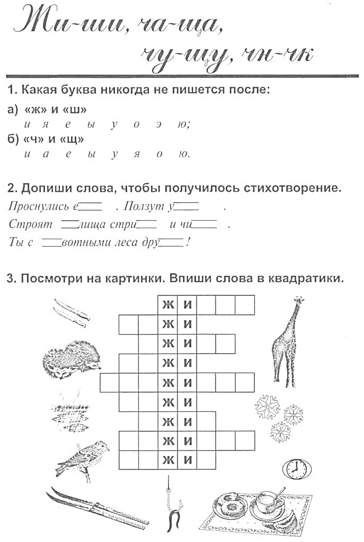 На раскраске изображено: Жи-ши, Ча-ща, Чу-щу, 2 класс, Русский язык, Орфография