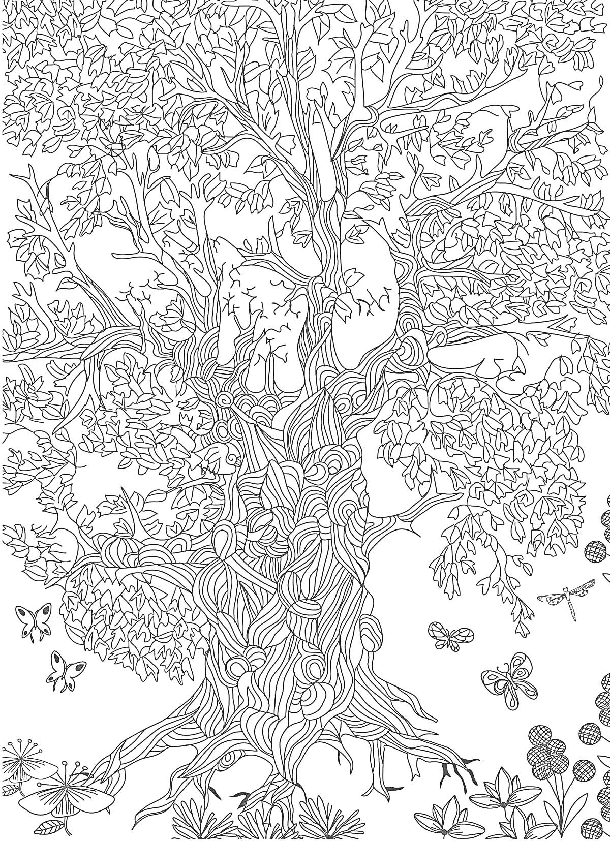 На раскраске изображено: Дуб, Цветы, Деревья, Природа, Лес, Животные