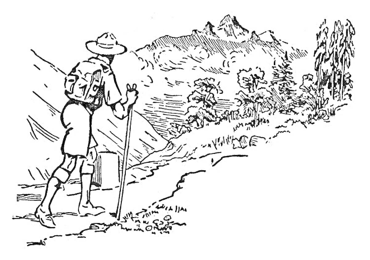 Раскраска Путник с рюкзаком и тростью на дороге в горах, деревья на заднем плане