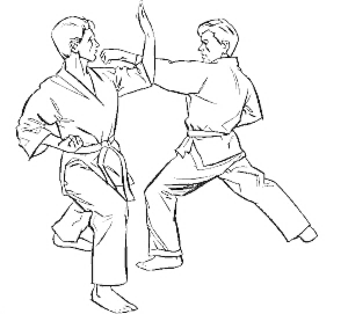 Два человека в кимоно выполняют приемы карате