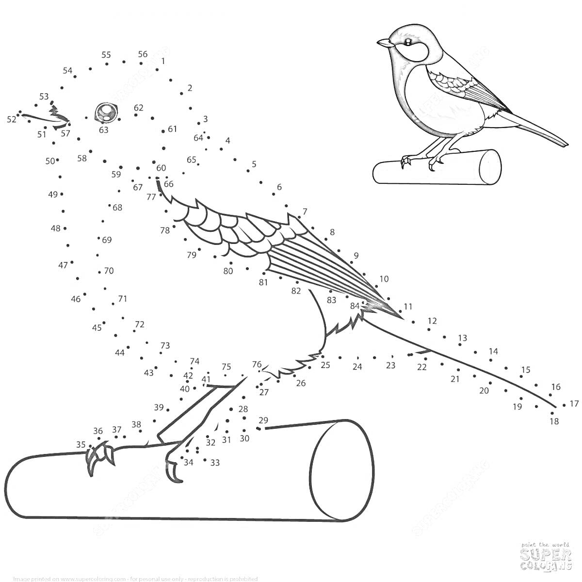 На раскраске изображено: Зимующие птицы, Синица, Точки, Соединение по точкам, Древесина, Природа, Птица