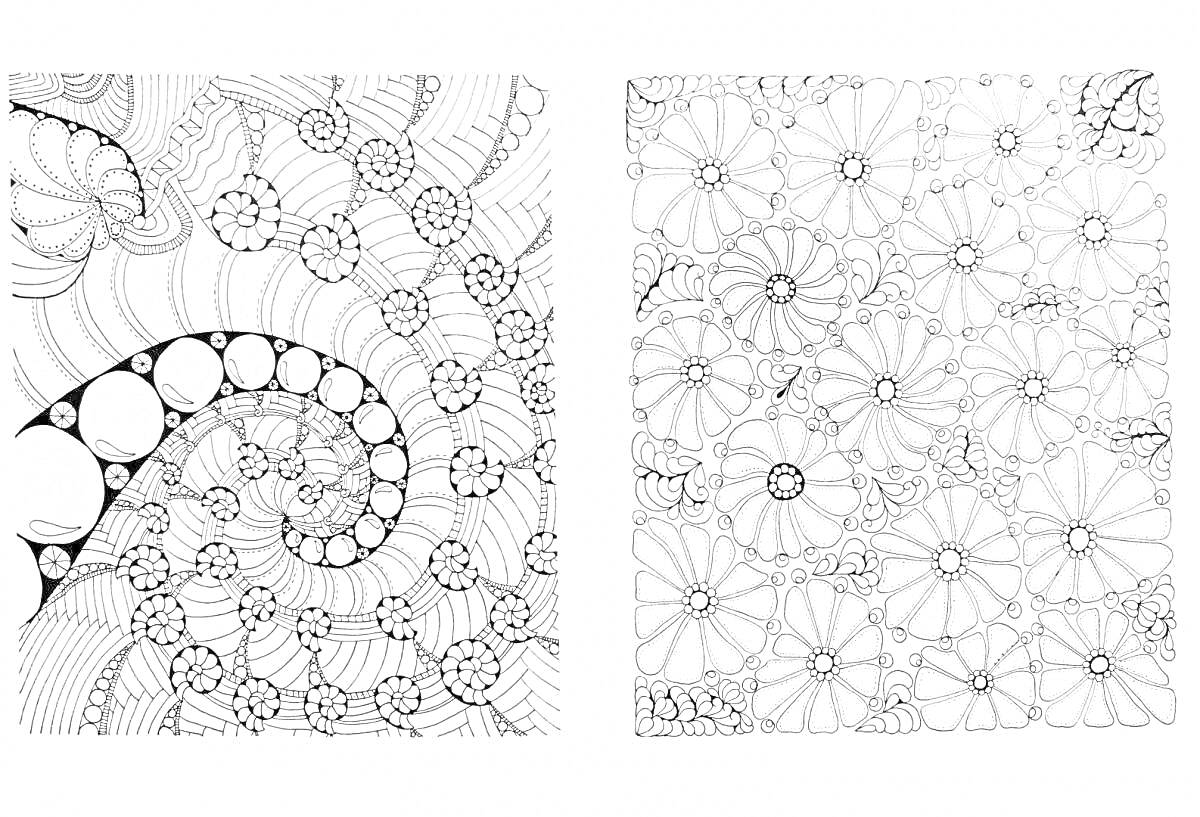 Раскраска Левый рисунок: завитки, геометрические узоры, окружности, линии. Правый рисунок: цветы, лепестки, листья, контуры.