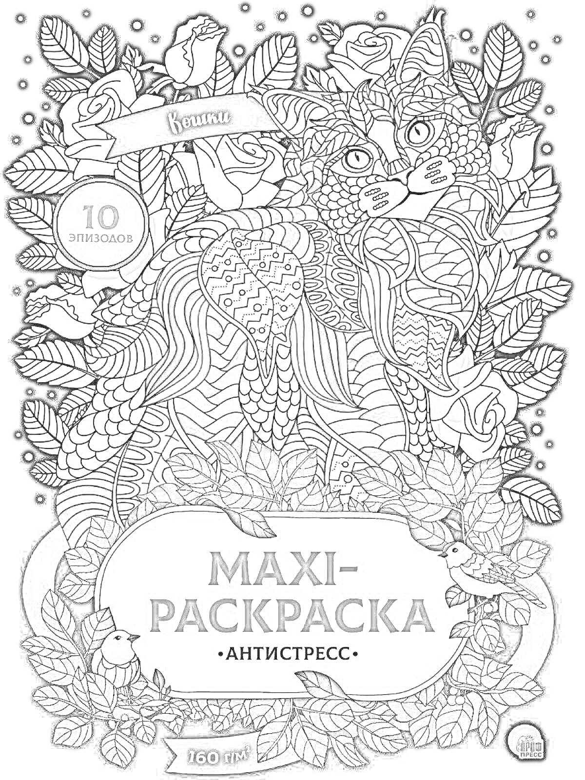 Раскраска Максимальная раскраска 