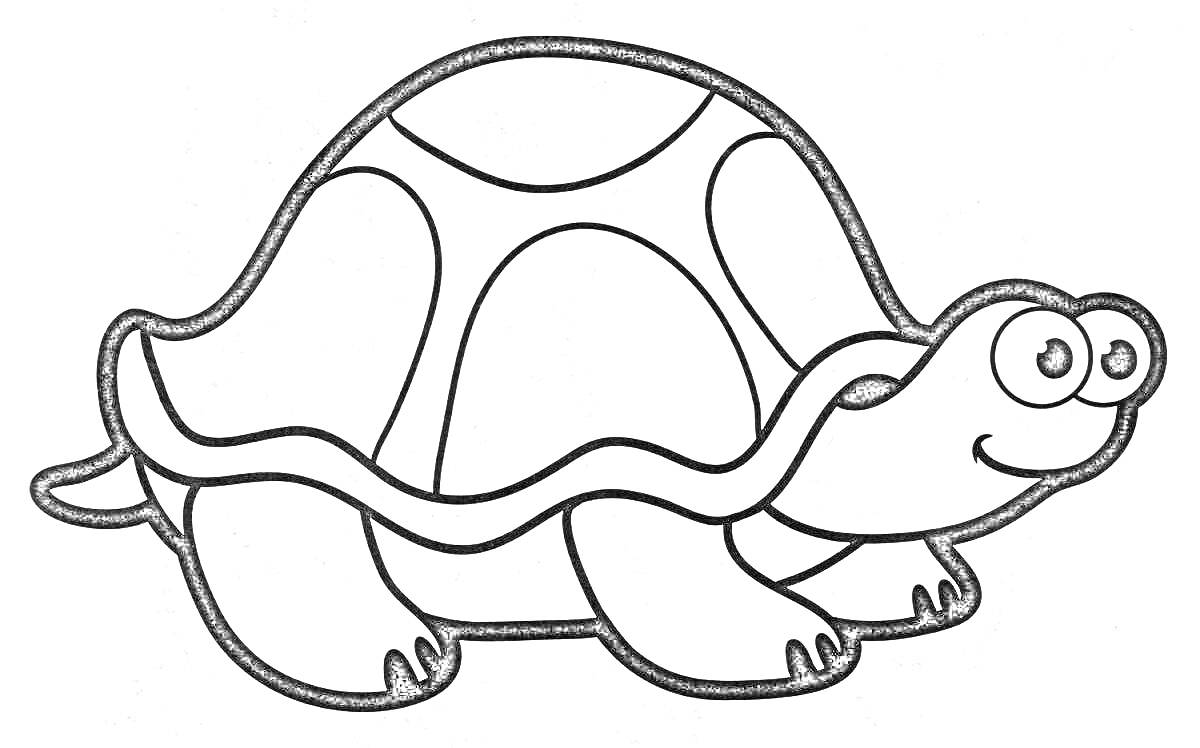 Чёрно-белая раскраска черепахи с панцирем и четырьмя лапами