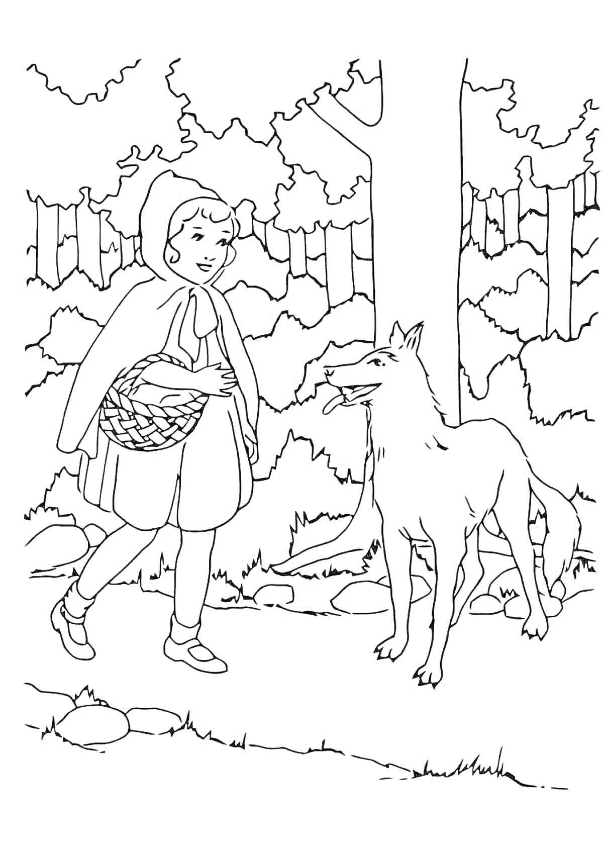 На раскраске изображено: Красная Шапочка, Волк, Лес, Деревья, Шарль Перро, Ребенок, Классическая сказка