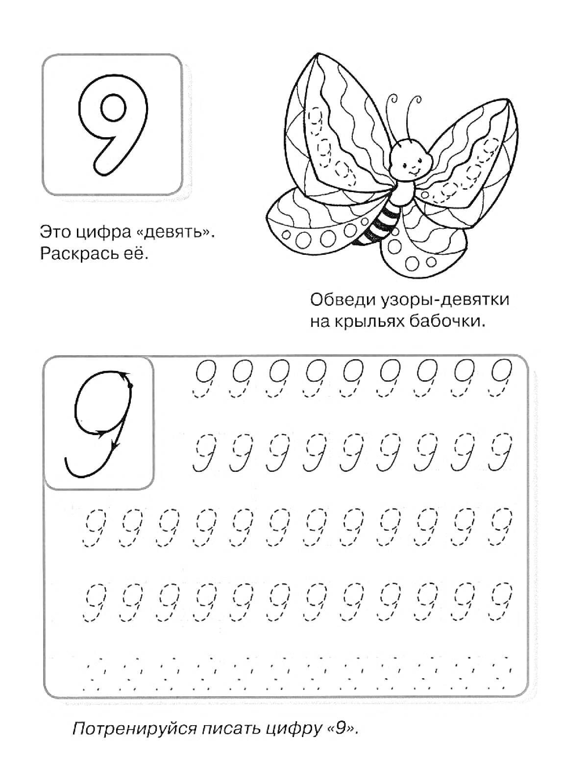 Раскраска Прописи для цифры 9 с рисунком бабочки