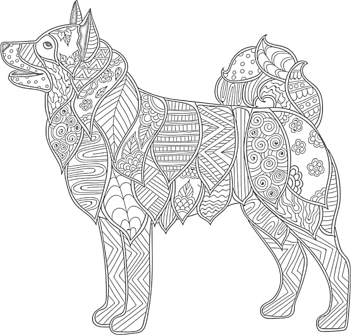 Раскраска Собака в этнических узорах с множеством мелких элементов, включая цветы, линии и геометрические фигуры