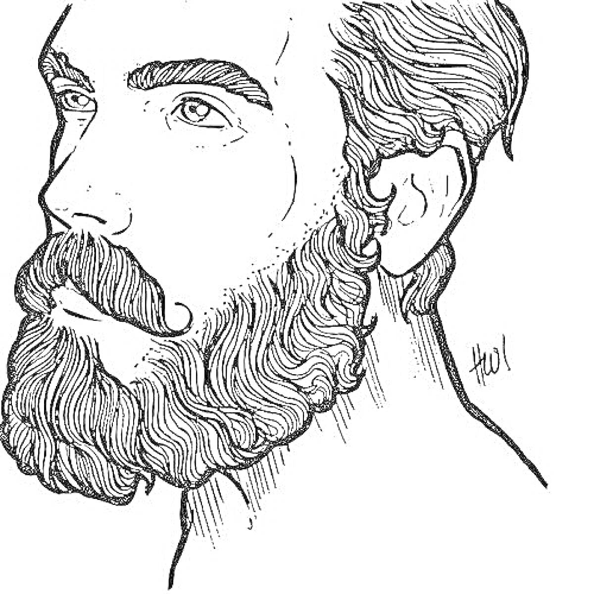 Раскраска портрет мужчины с бородой и усами