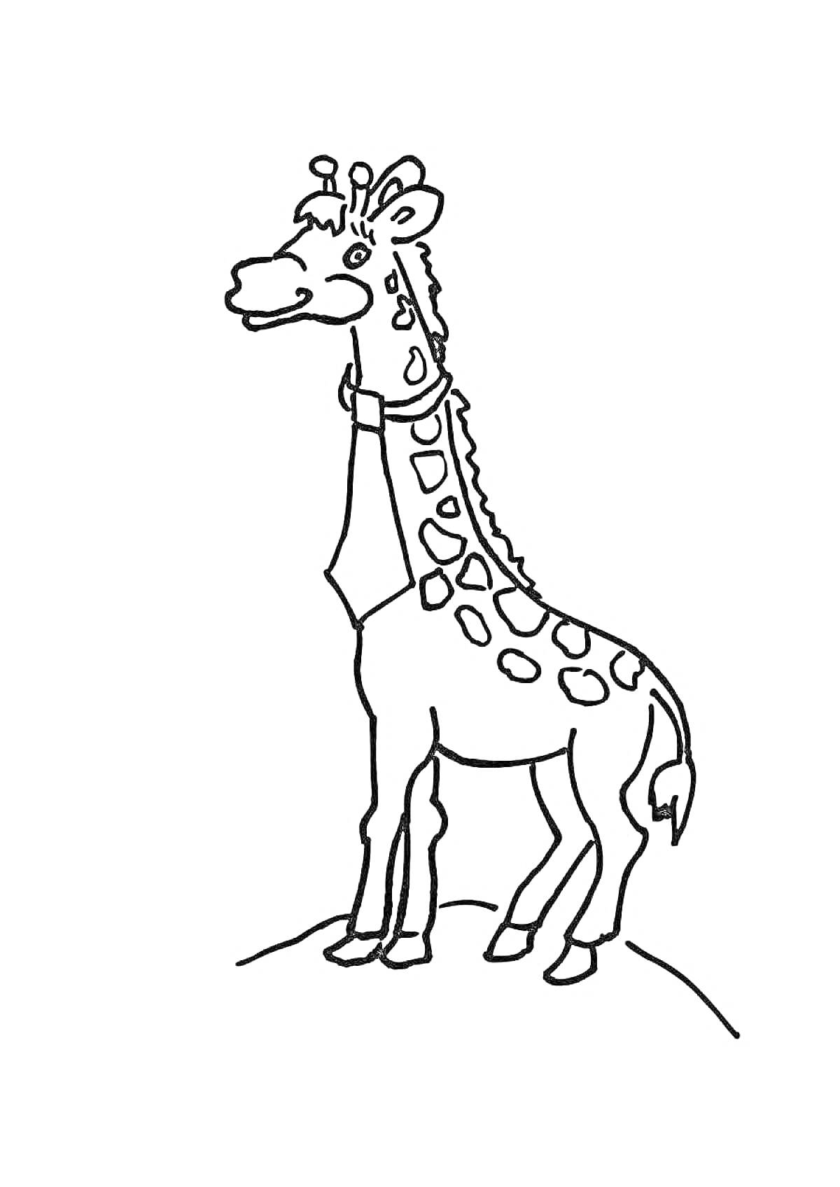 Раскраска Жираф, стоящий на холме