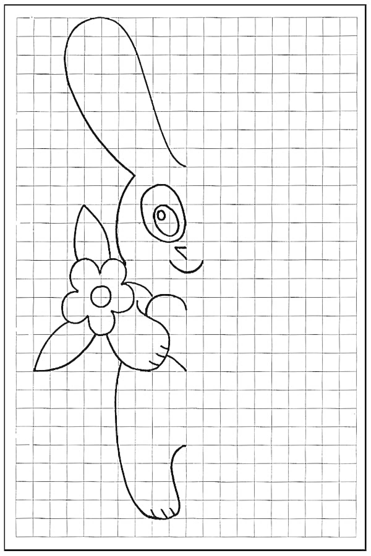 Раскраска Заяц с цветком