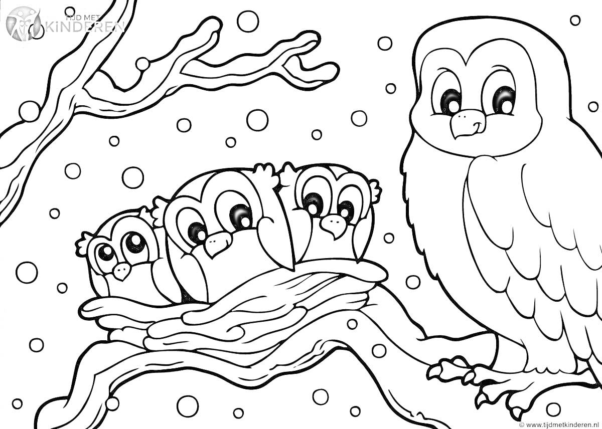 На раскраске изображено: Зимующие птицы, Сова, Зима, Снег, Для детей, Деревья