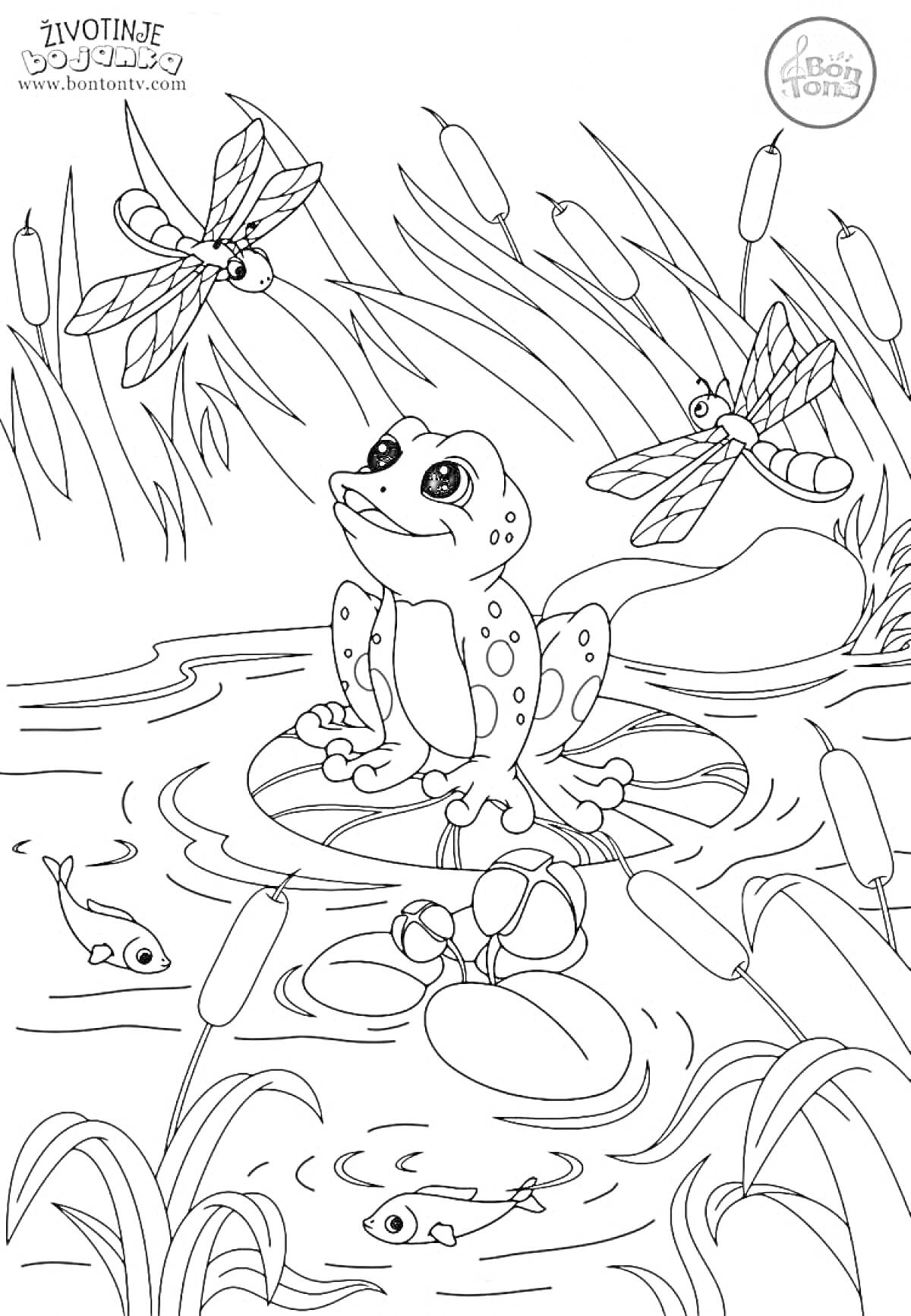Раскраска Лягушка на кувшинке в окружении стрекоз, камышей и рыб в пруду