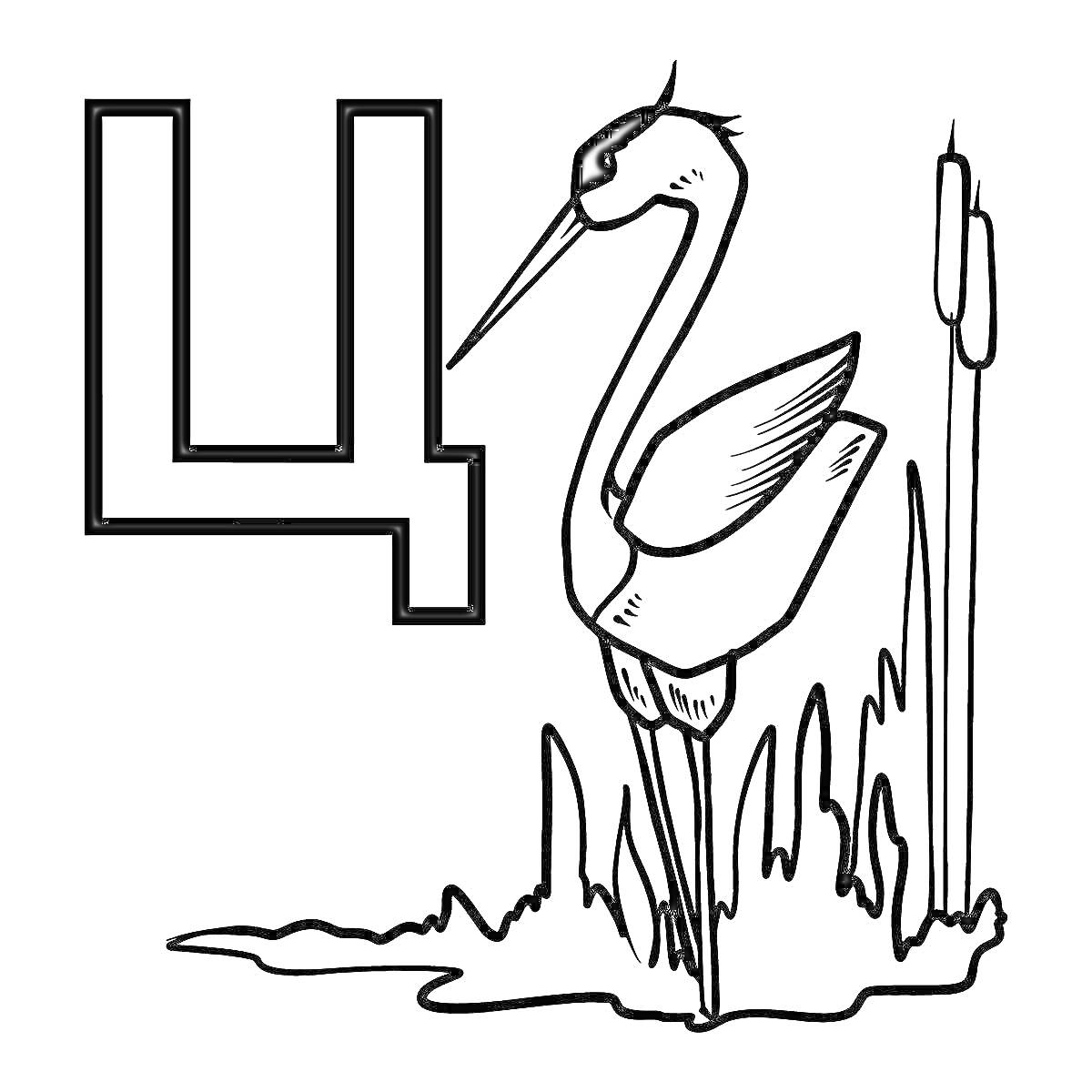 Раскраска Буква Ц с цаплей на болоте