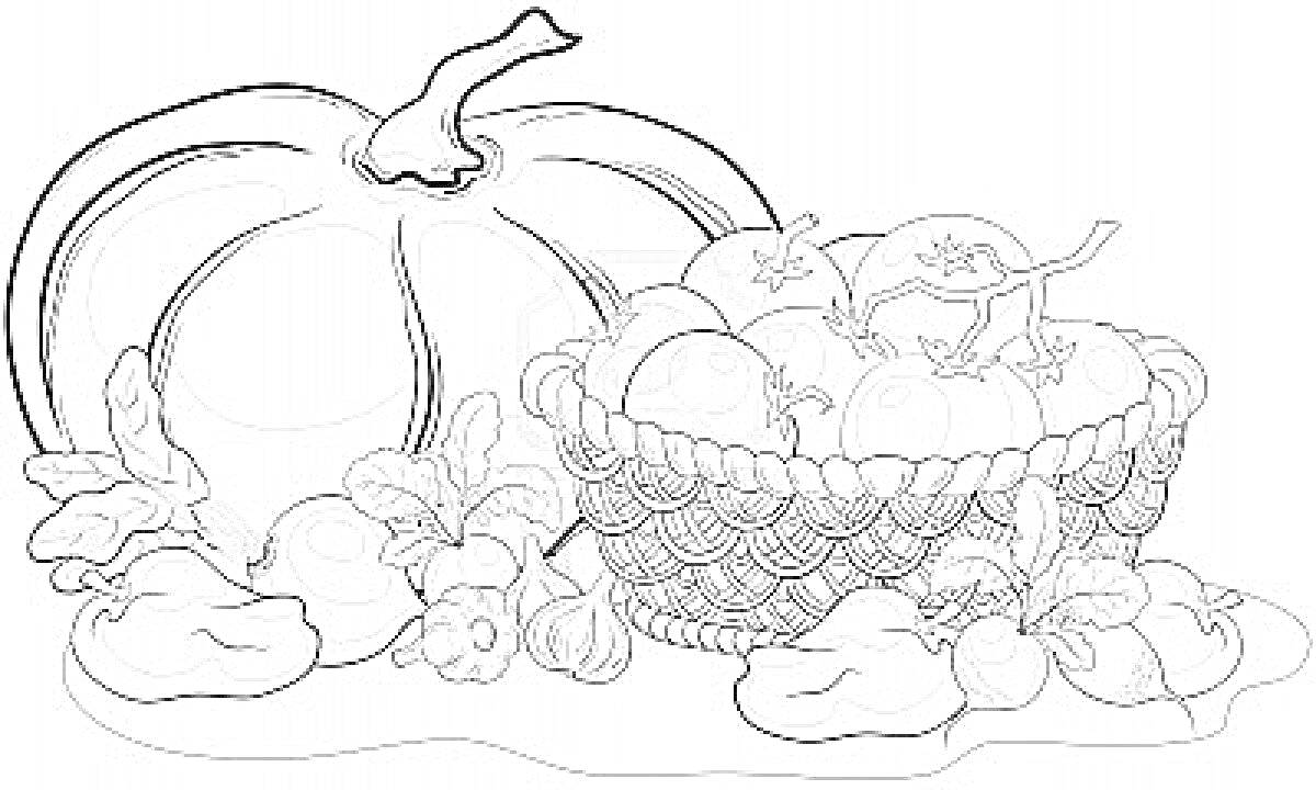 Раскраска Тыква, корзина с помидорами, разные овощи