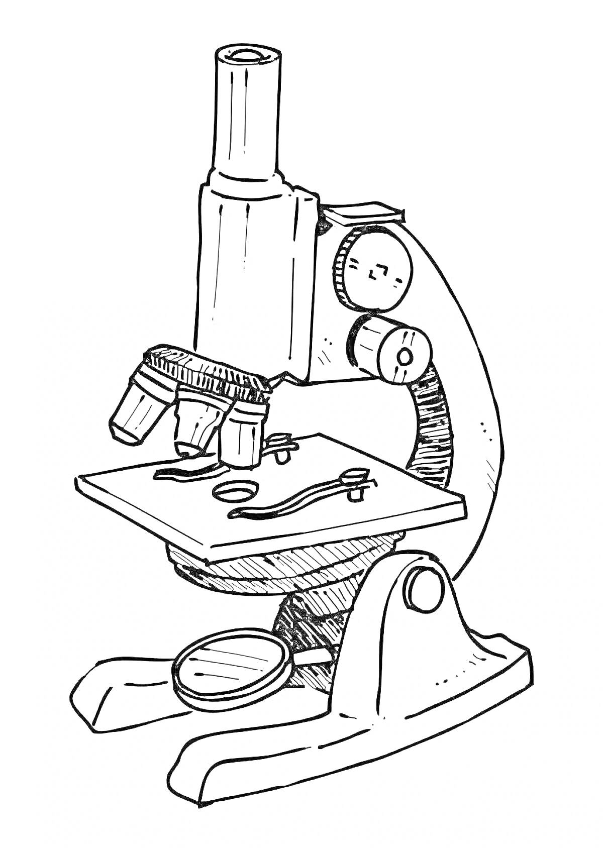 Раскраска Микроскоп с тремя объективами и держателями для стекол