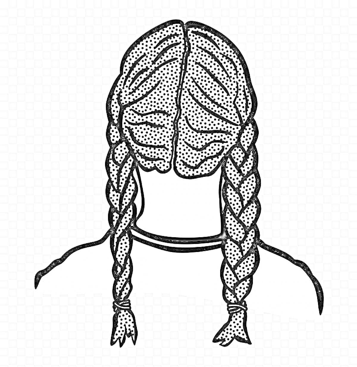 Раскраска Две заплетенные косы на голове человека, вид сзади