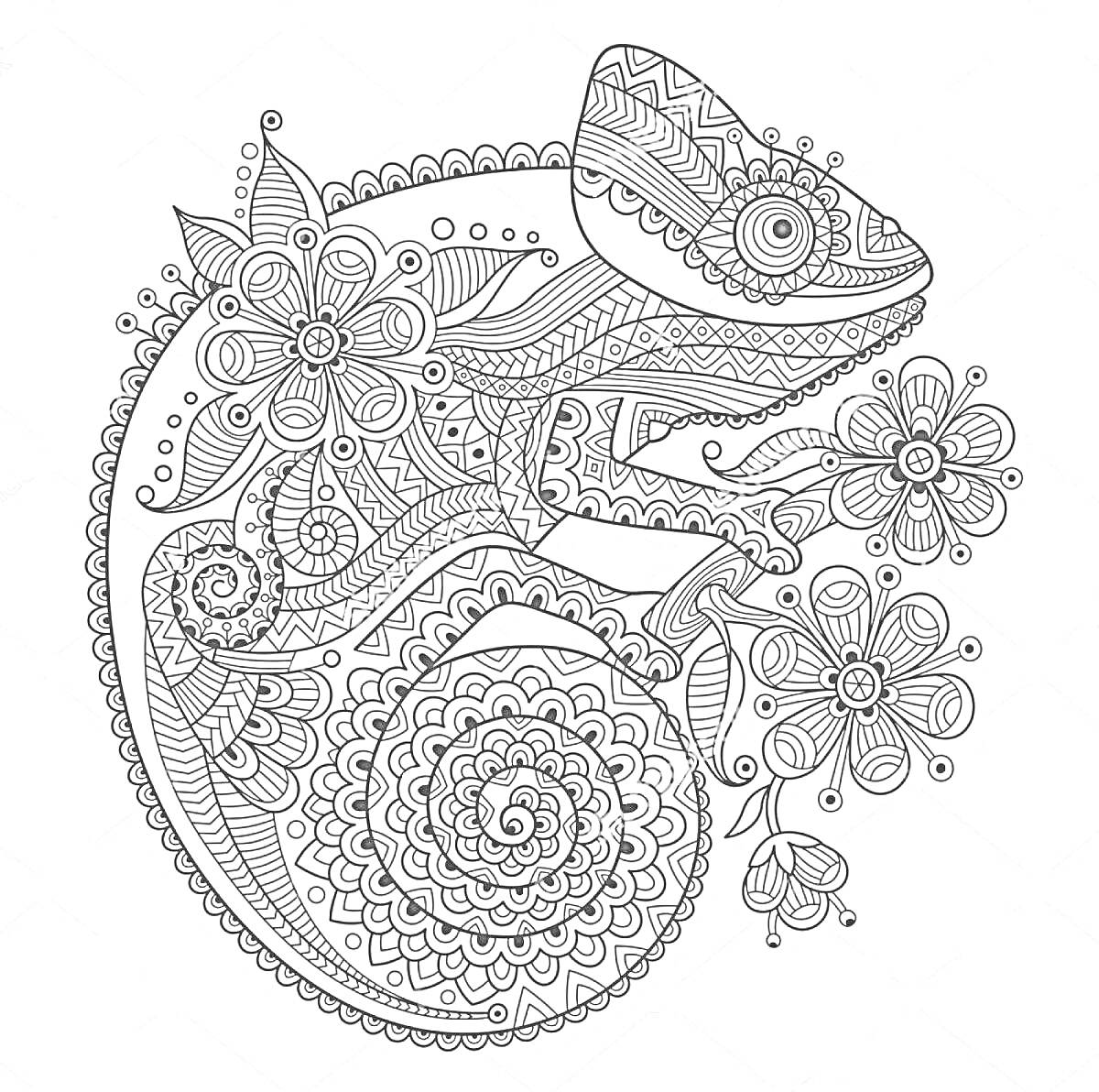 Раскраска Антистресс-раскраска с ящерицей и цветами, геометрические узоры и орнаменты