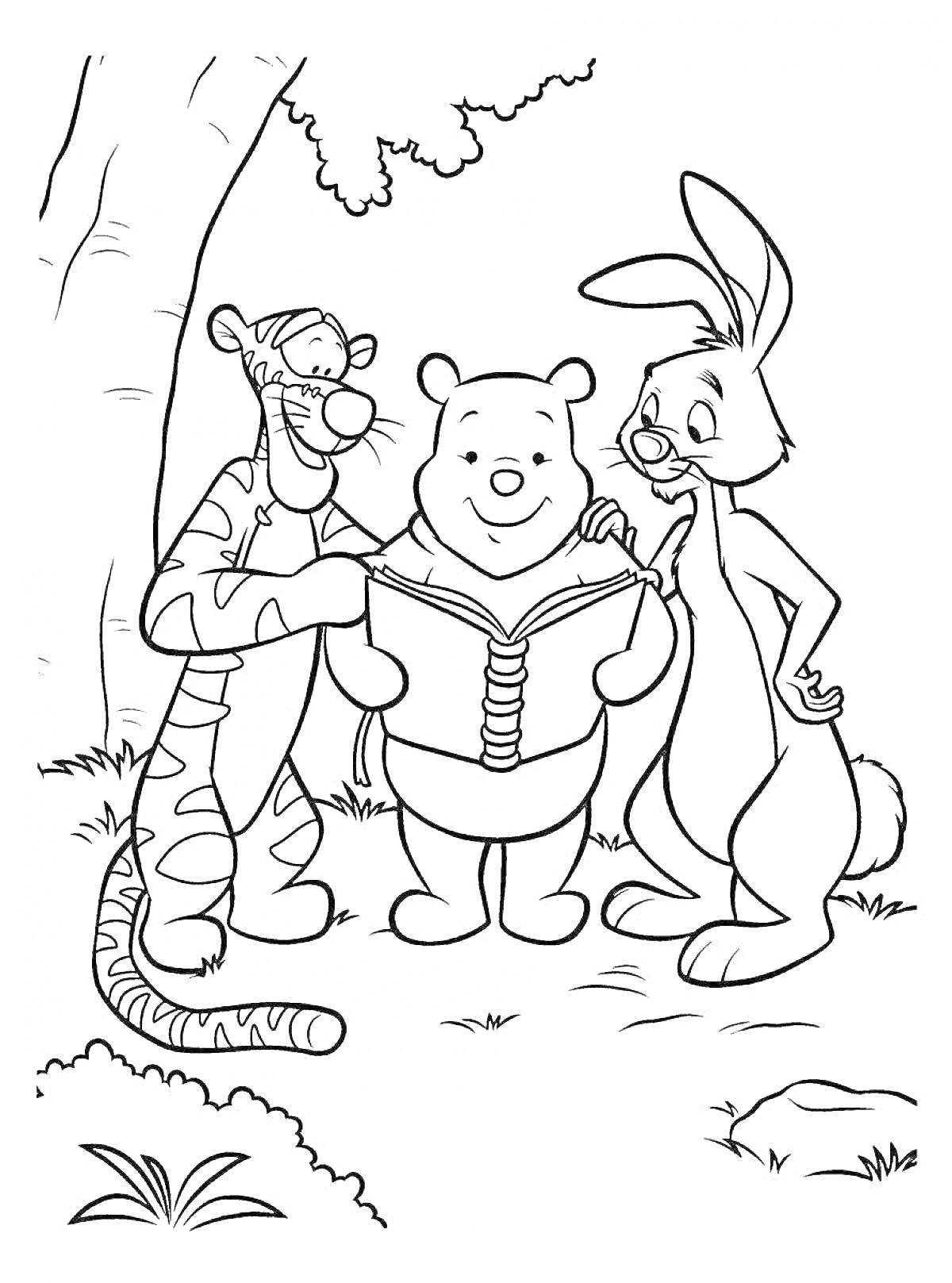 На раскраске изображено: Тигр, Винни-Пух, Кролик, Книга, Лес, Друзья, Чтение