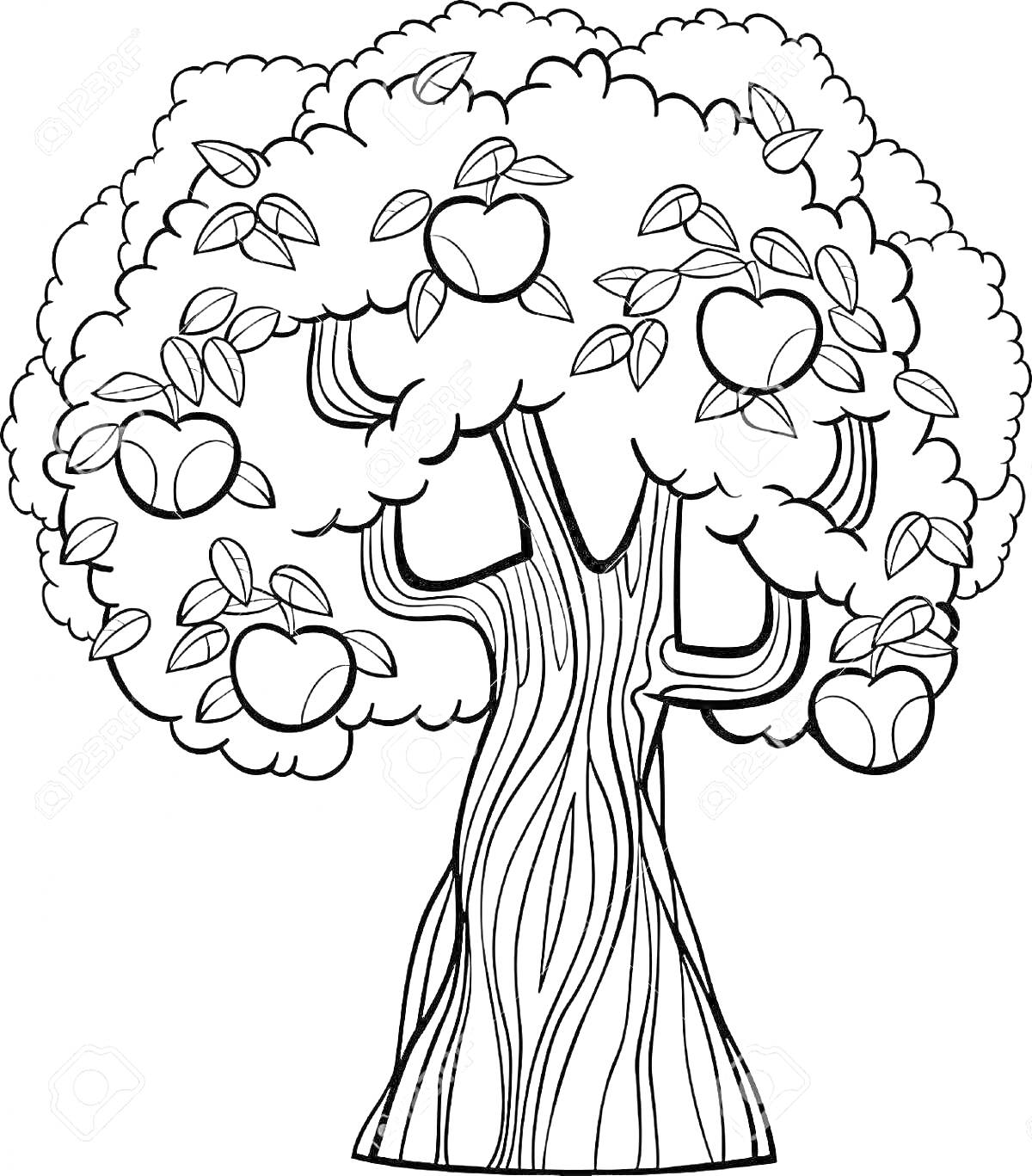 Раскраска Яблоня в саду с яблоками и листьями