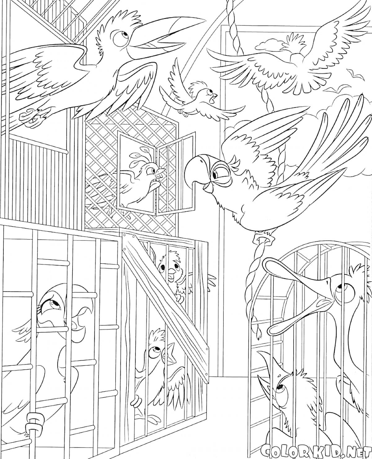 На раскраске изображено: Птица, Полет, Решетка, Для детей, Клеточки, Попугаи, Развлечения