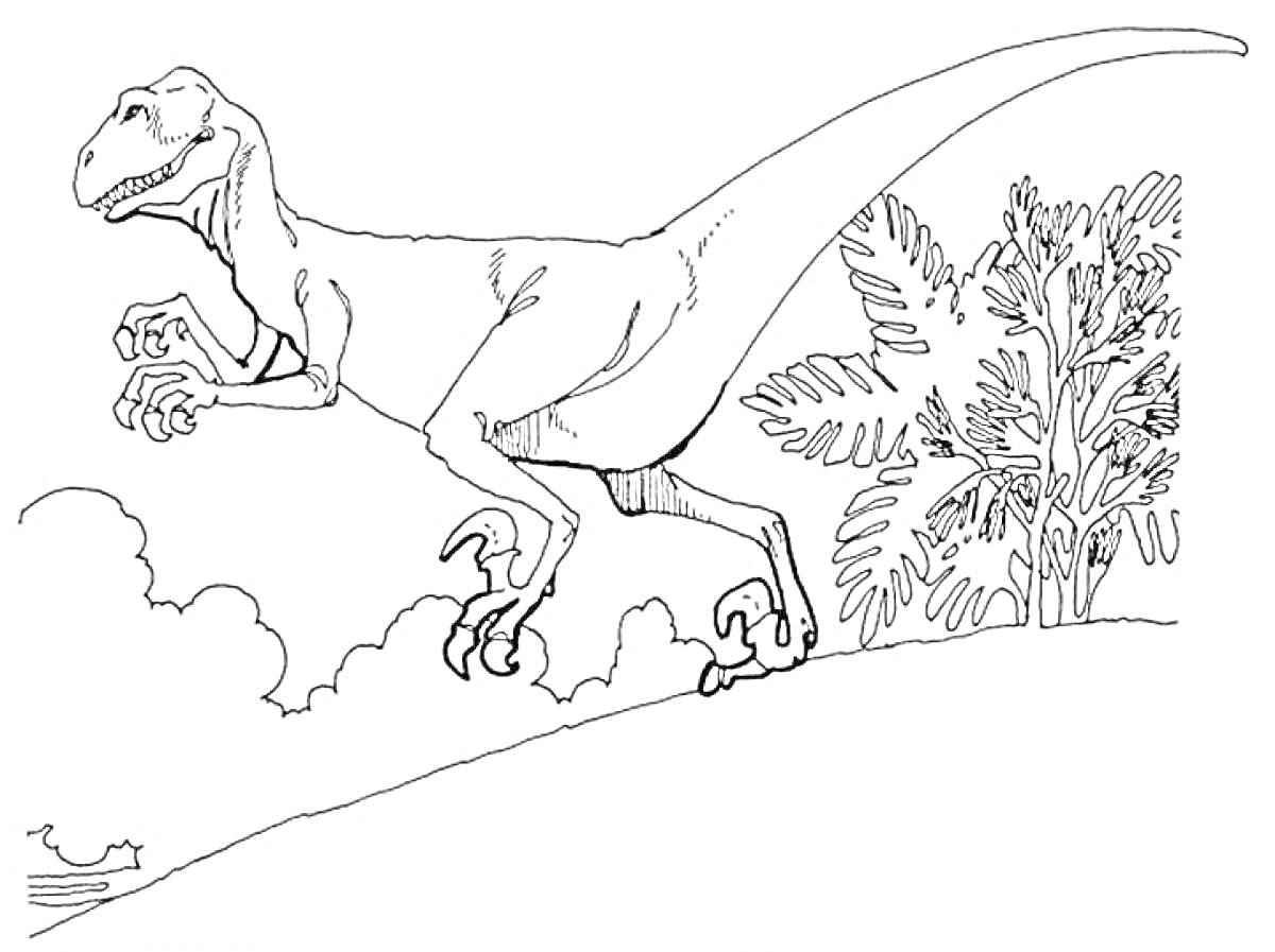На раскраске изображено: Дейноних, Динозавр, Деревья, Природа, Доисторические животные, Кусты, Хищники, Холмы