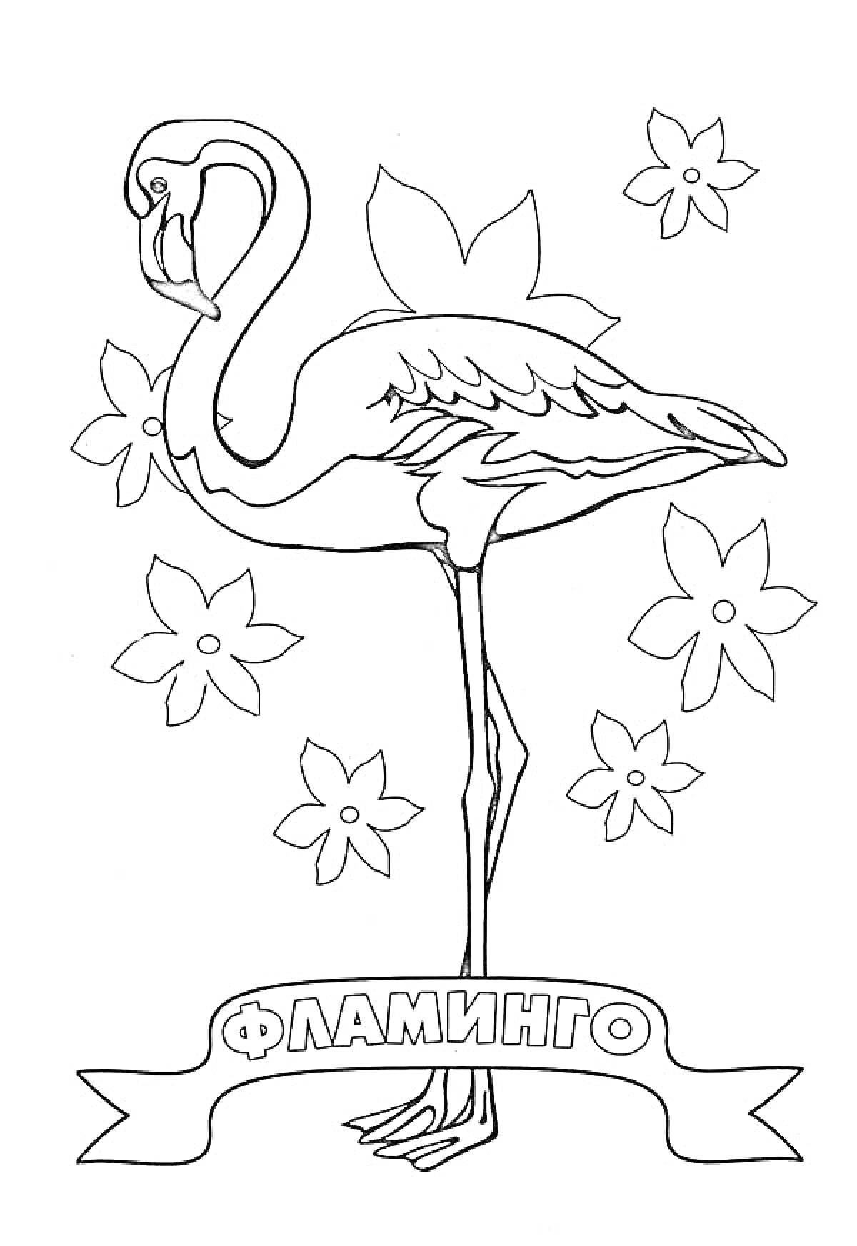 На раскраске изображено: Фламинго, Птица, Цветы, Природа, Для детей, Животные, Лента