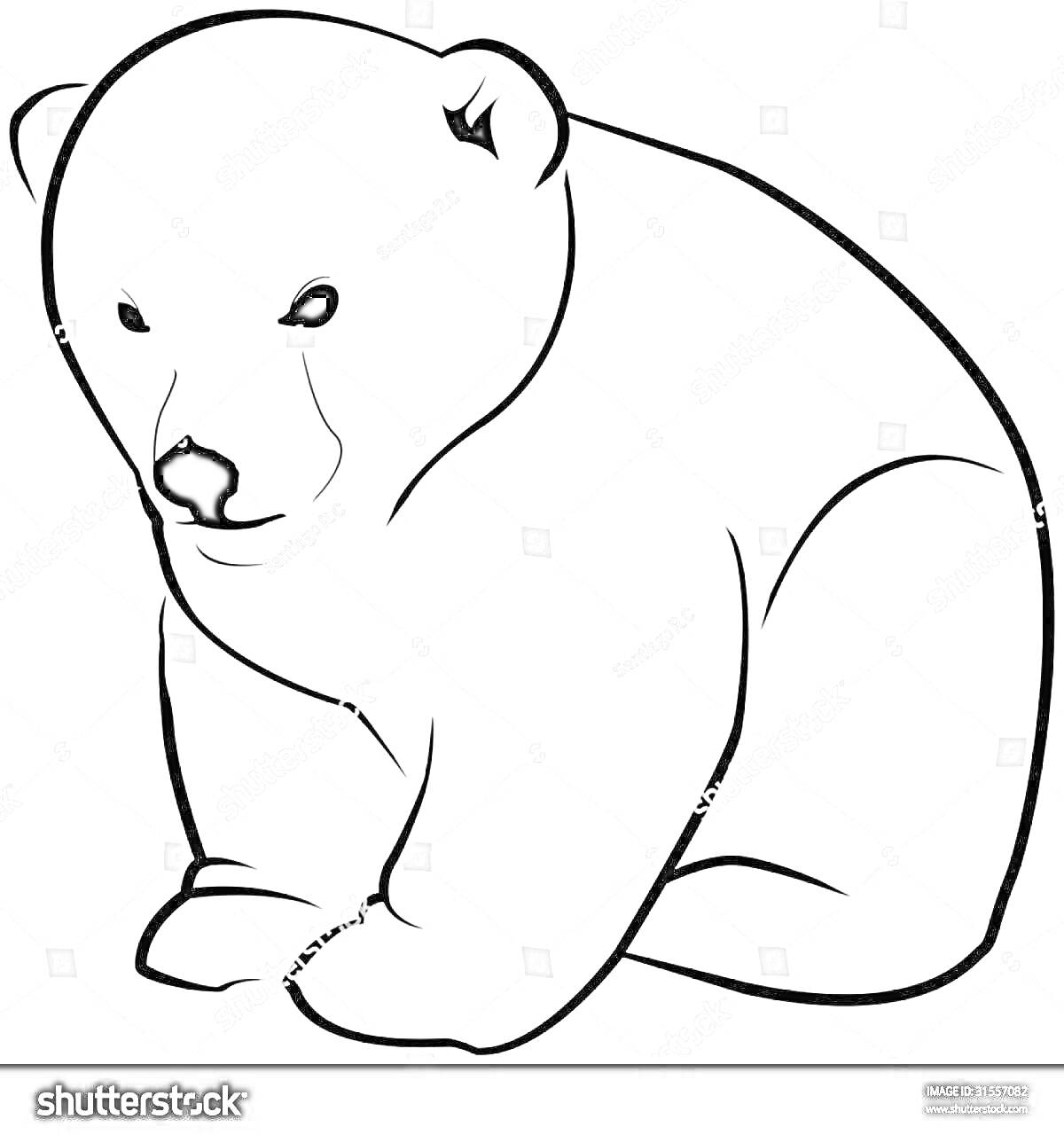 Раскраска Контурное изображение белого медведя сидящего, смотрящего вперед