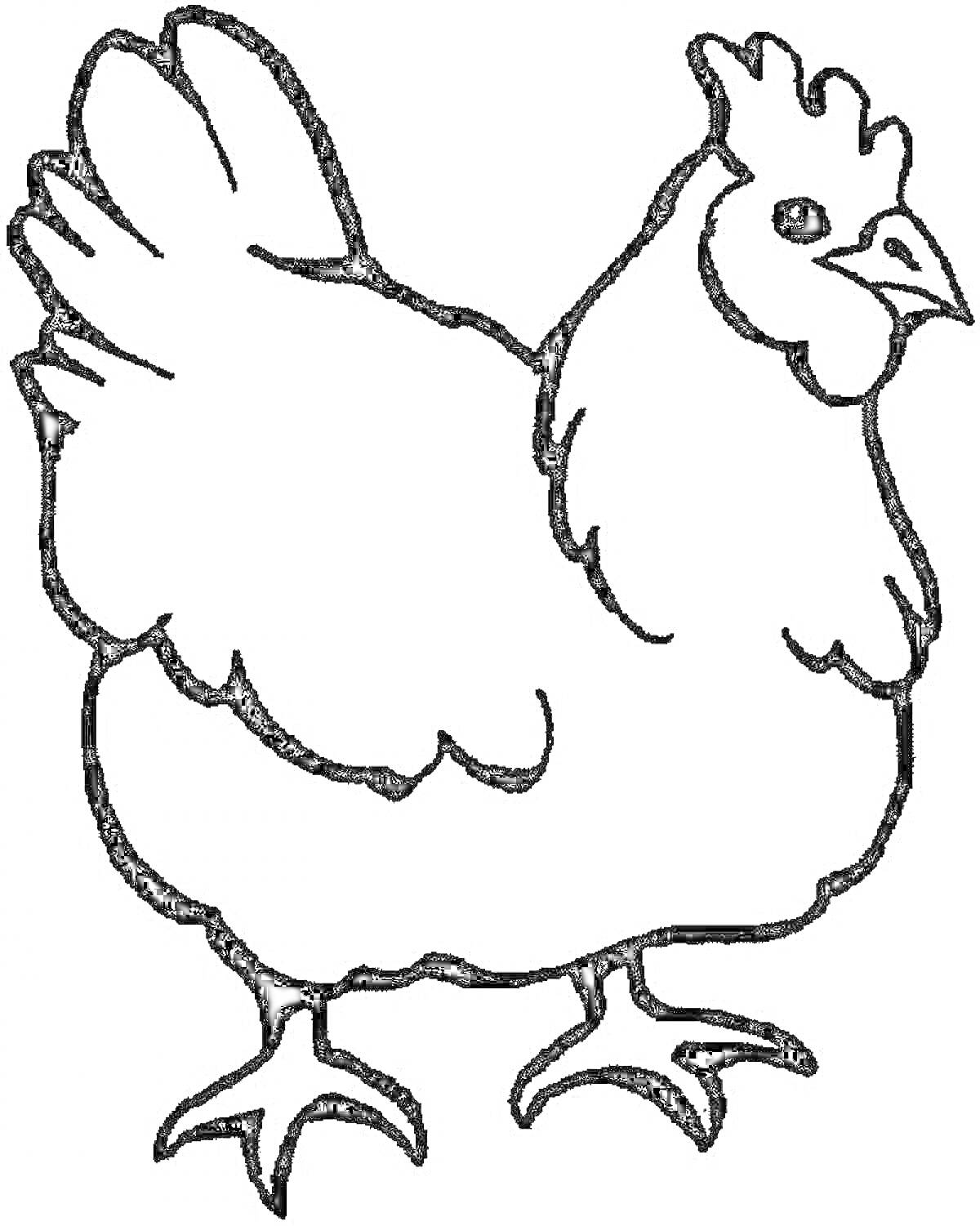На раскраске изображено: Для малышей, Птица, Домашние животные, Ферма, Курицы