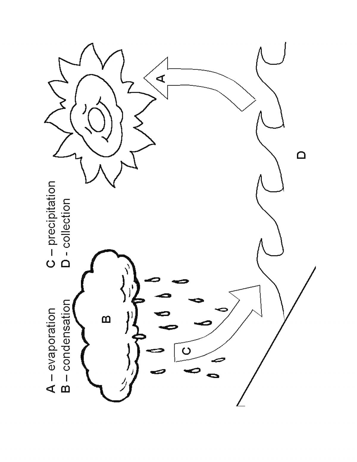Круговорот воды в природе: солнце, океан, испарение, конденсация, облако, осадки, сбор воды