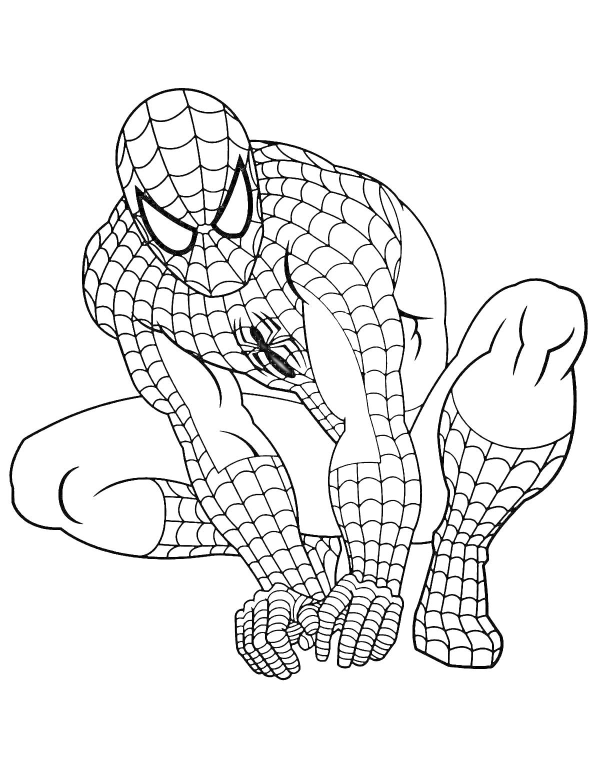 Раскраска Человек-паук в костюме, сидящий на корточках, с паутиной на костюме