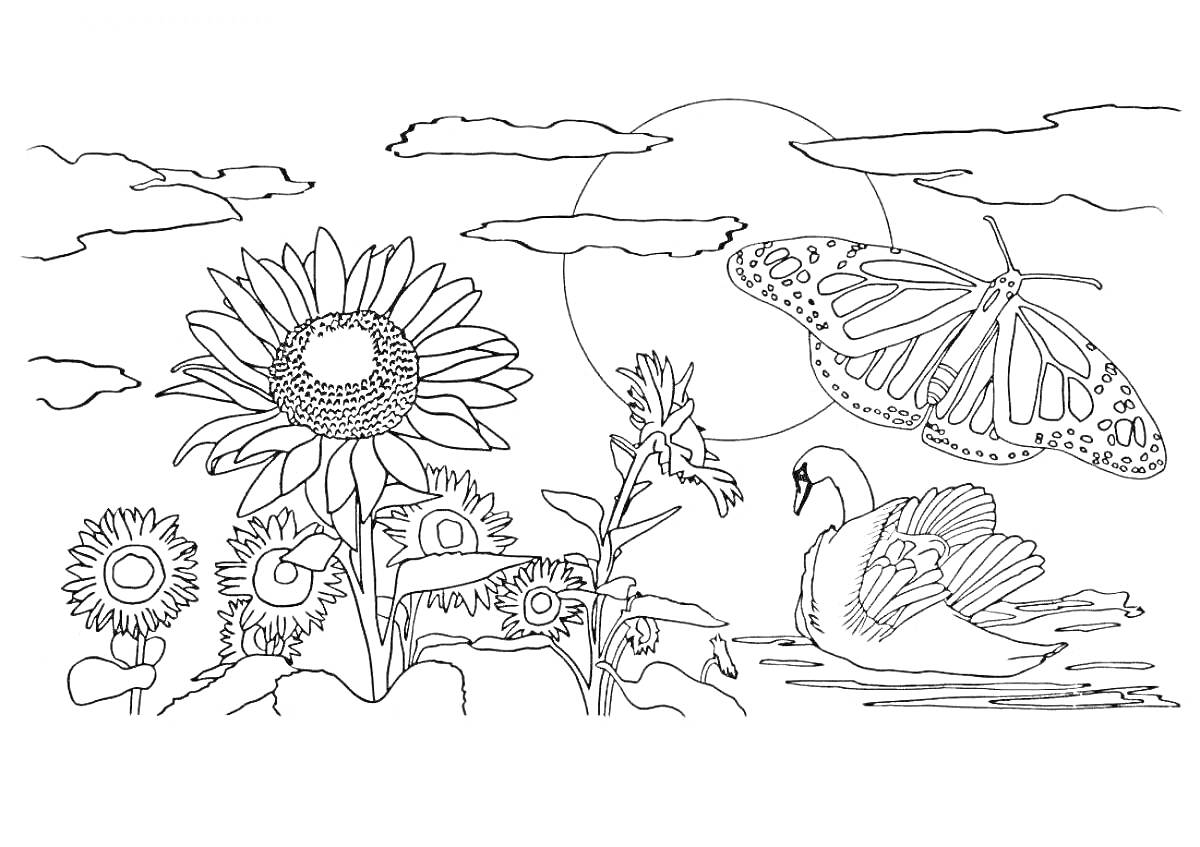 На раскраске изображено: Подсолнухи, Лебедь, Бабочка, Солнце, Облака, Природа, Цветы, Озеро, Пейзаж