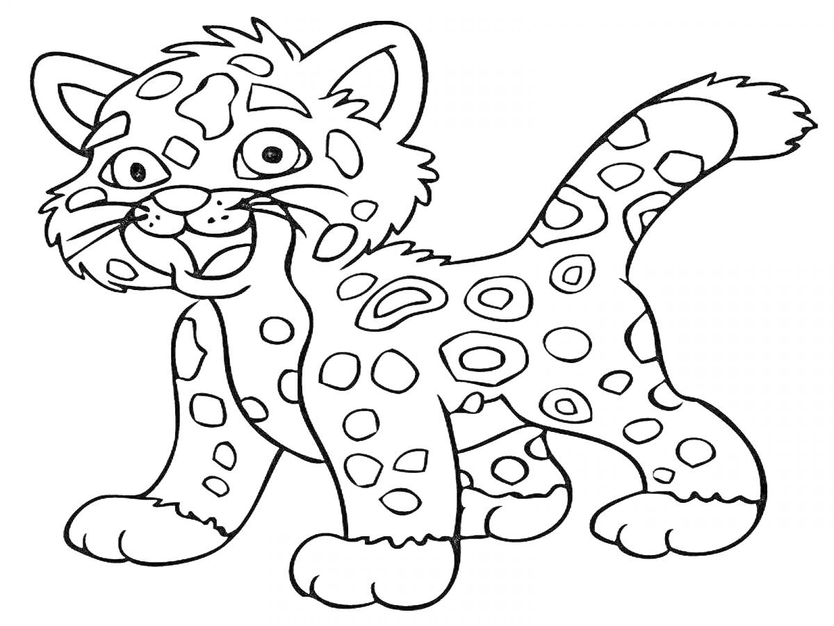 Раскраска Леопард с пятнами