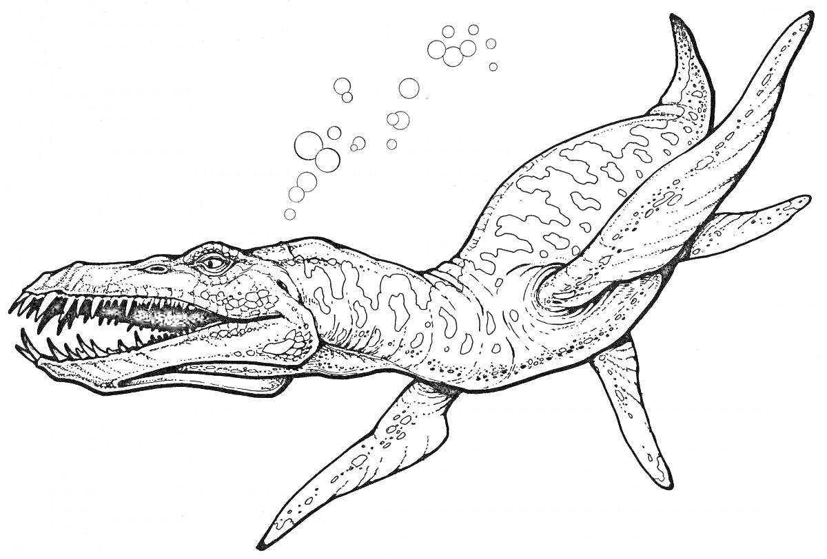 Раскраска Водный динозавр с ластами и зубастой пастью, пузырьки