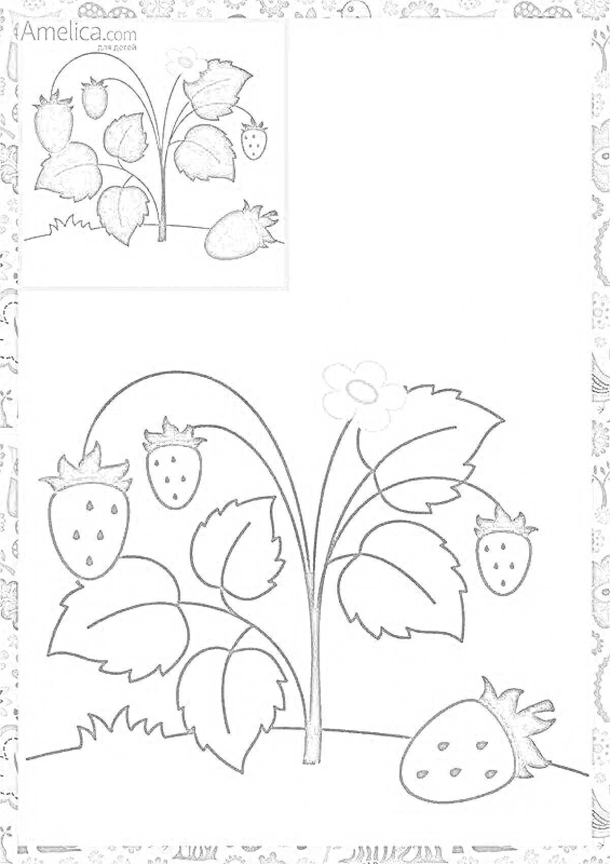 На раскраске изображено: Клубника, Ягоды, Сад, Природа, Для детей, Цветы, Растения, Листья