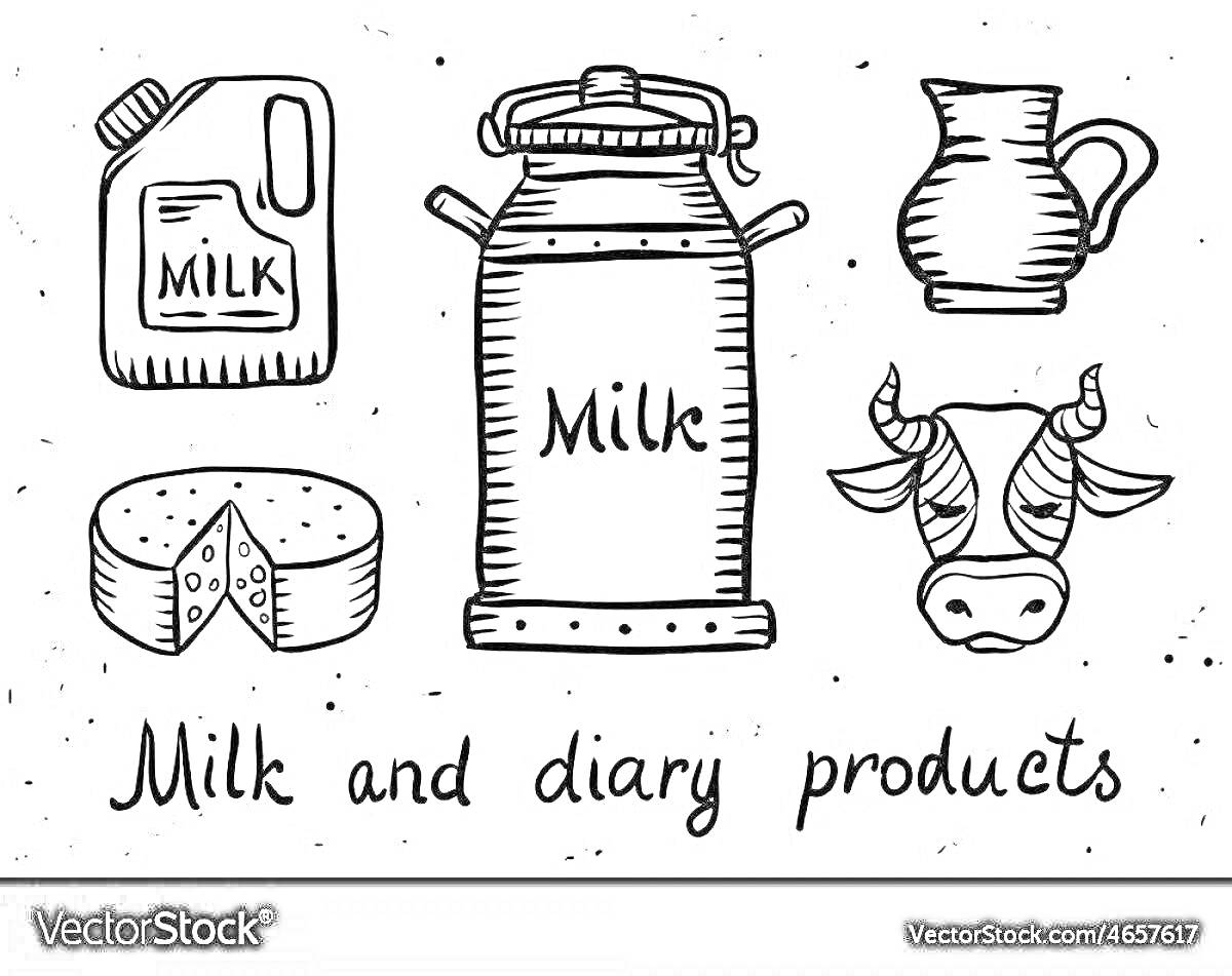 Раскраска Молочные и молокопродукты (канистра с молоком, молочный бидон, кувшин, сыр, корова)