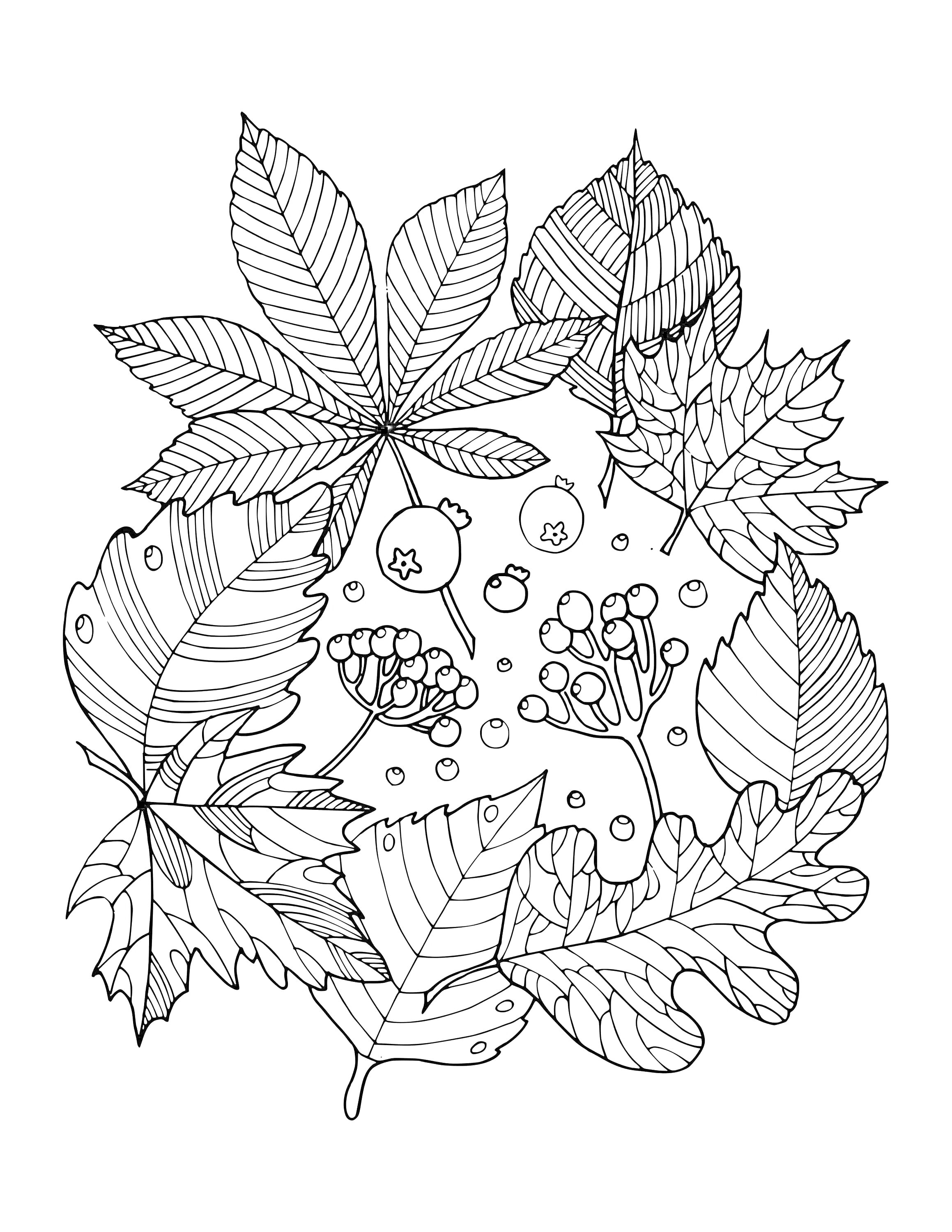 На раскраске изображено: Осень, Листья, Каштан, Клен, Дуб, Рябина