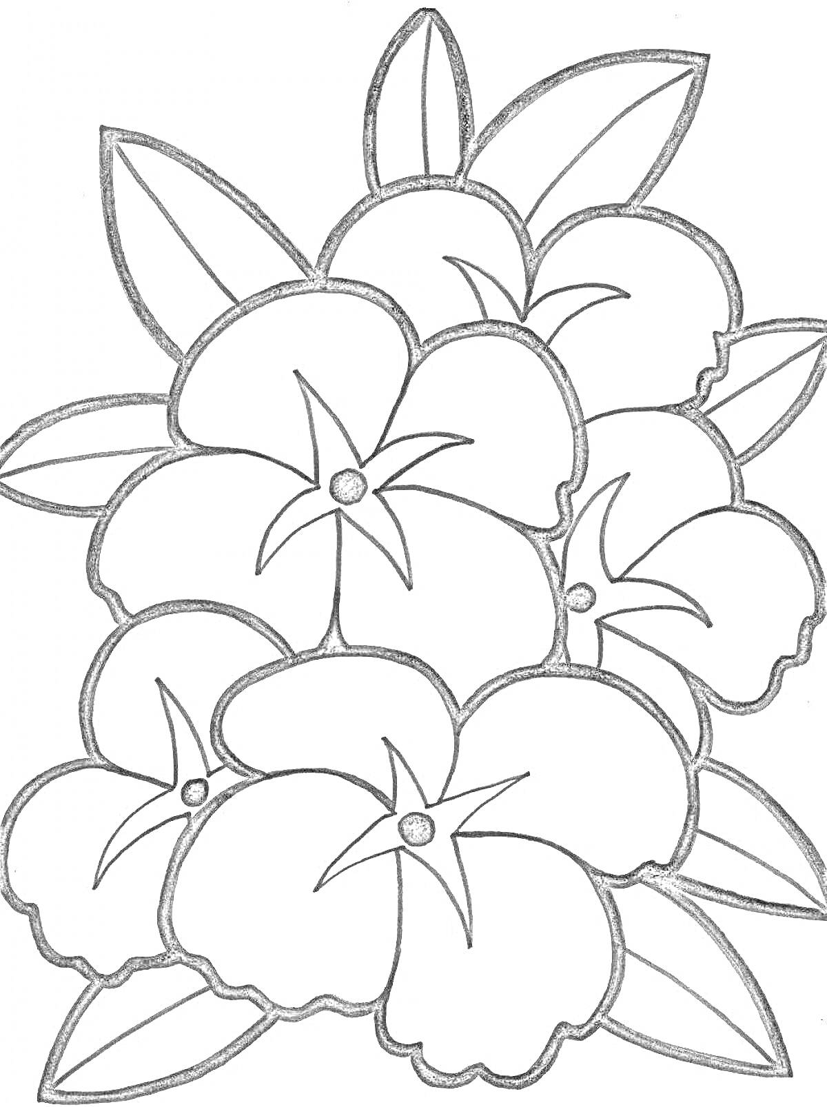 Раскраска Букет из пяти цветов с листьями