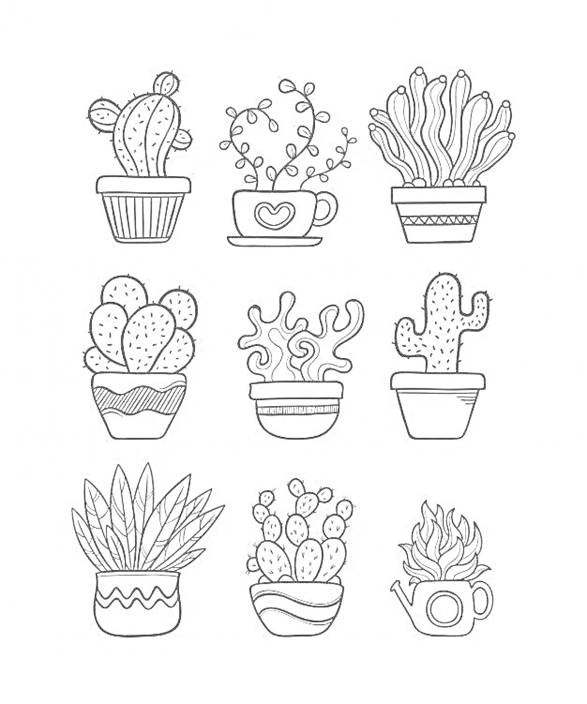 На раскраске изображено: Кактусы, Растения, Леечка, Листья