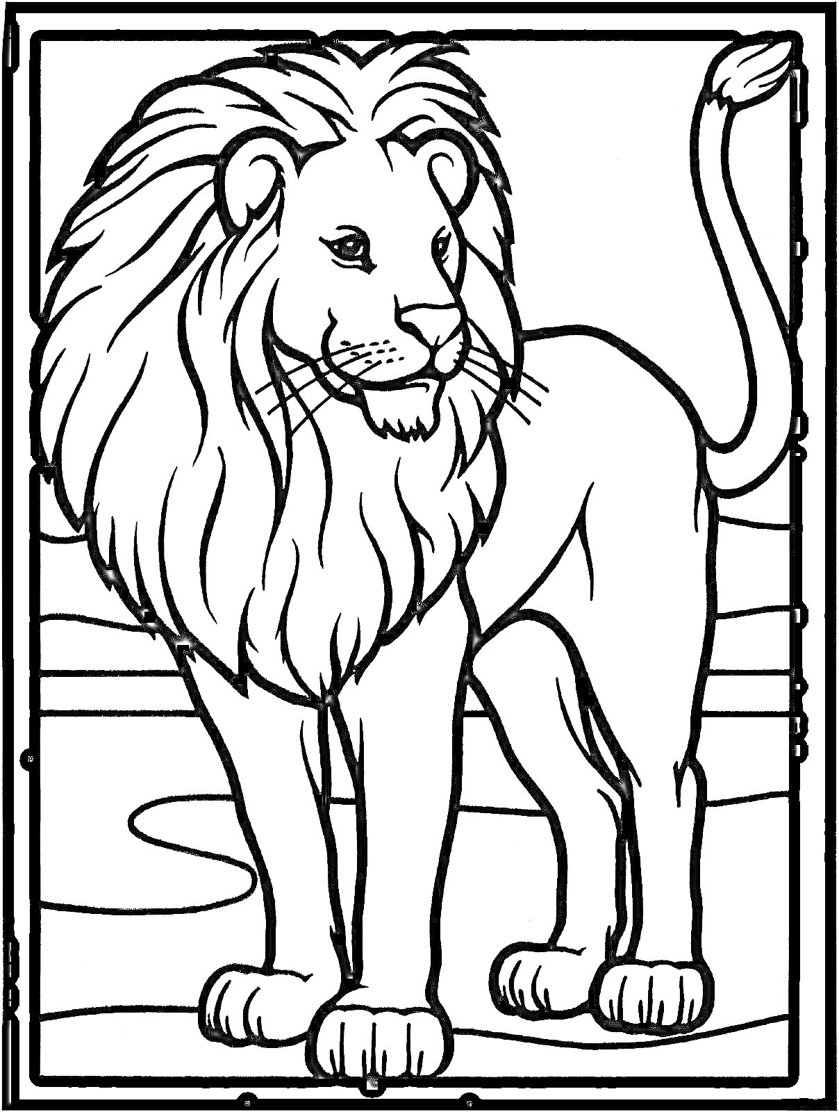 На раскраске изображено: Лев, Саванна, Природа, Грива, Контурные рисунки