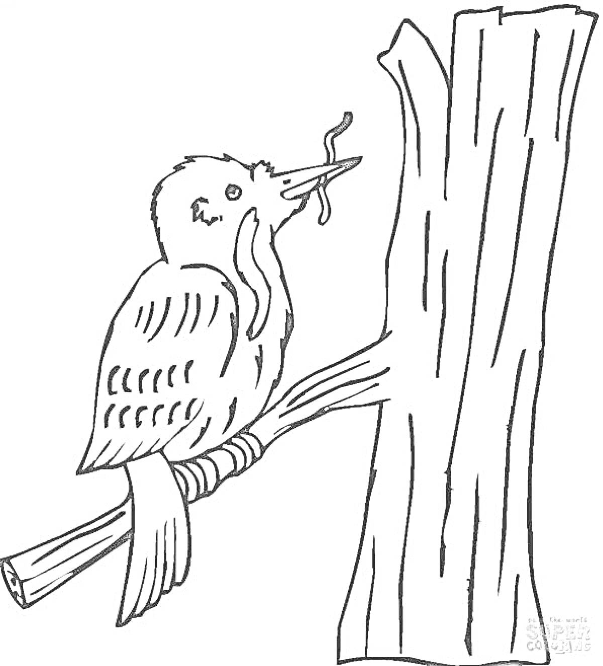Раскраска Воробей с червячком в клюве, сидящий на дереве