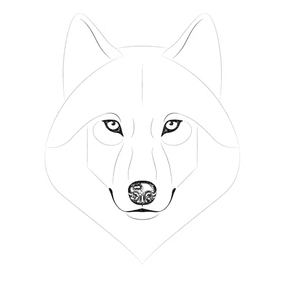На раскраске изображено: Волк, Голова волка, Природа, Уши, Глаза, Нос, Морда