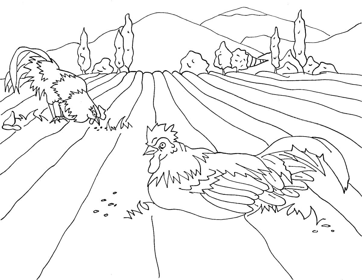 На раскраске изображено: Природа, Казахстан, Петухи, Поле, Горы, Деревья, Сельская местность, Петух