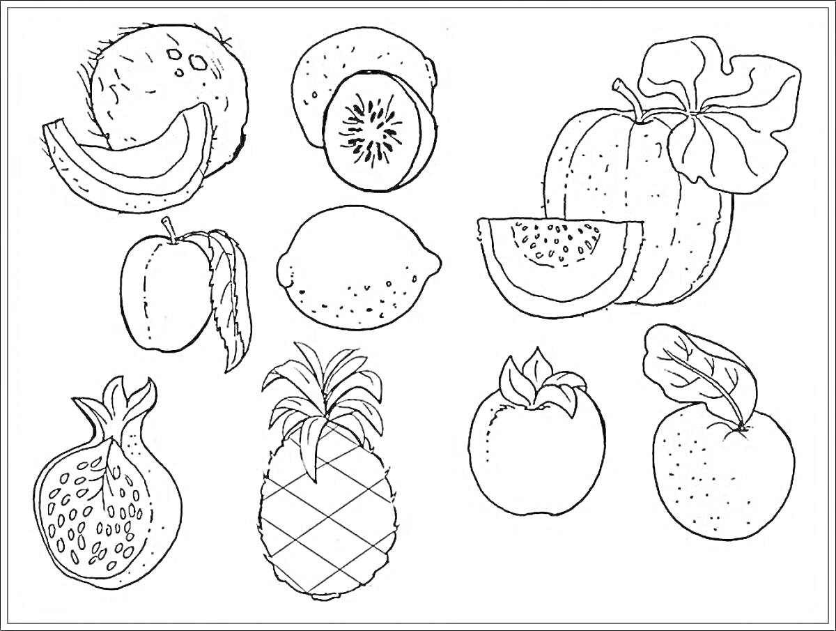 На раскраске изображено: Фрукты, Кокос, Киви, Дыня, Яблоко, Лимон, Арбуз, Гранат, Ананас, Хурма, Апельсин, Для детей, 6 лет, 7 лет