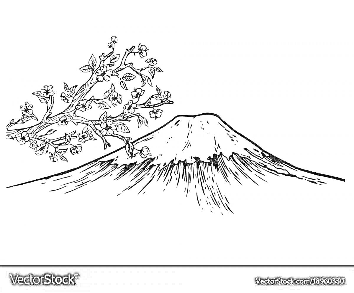 Раскраска Ветвь сакуры на фоне горы Фудзи
