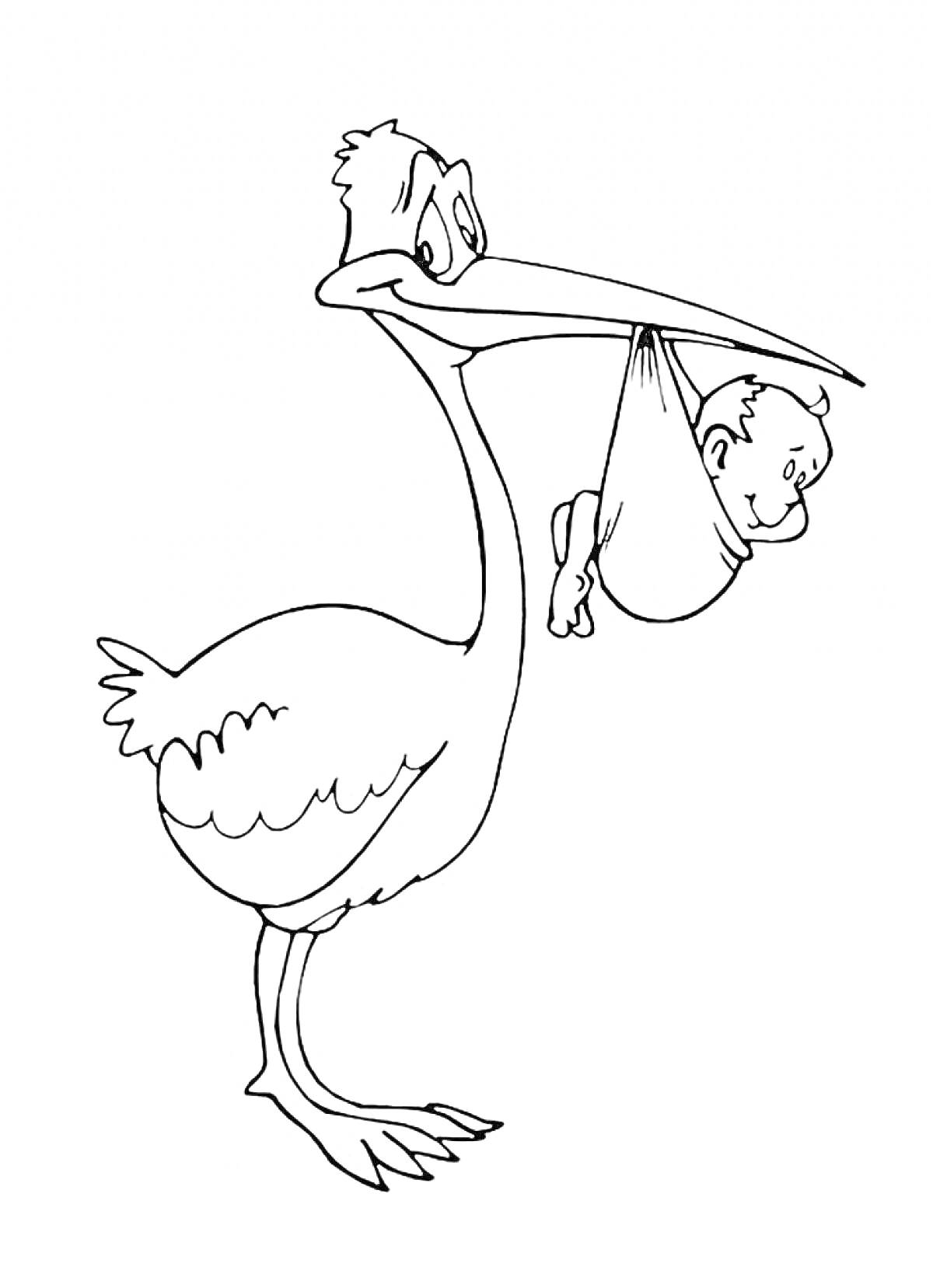 На раскраске изображено: Аист, Младенец, Ребёнок, Птица, Контурные рисунки