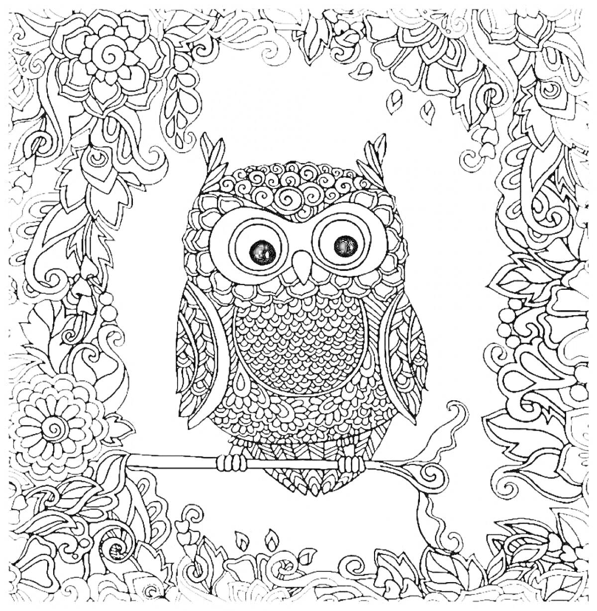 На раскраске изображено: Сова, Ветка, Цветы, Узоры, Цветочные узоры